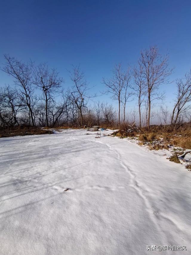 雪后初霁登顶嵯峨山，走荒野雪原，看千年悟空塔，感受历史的烟云