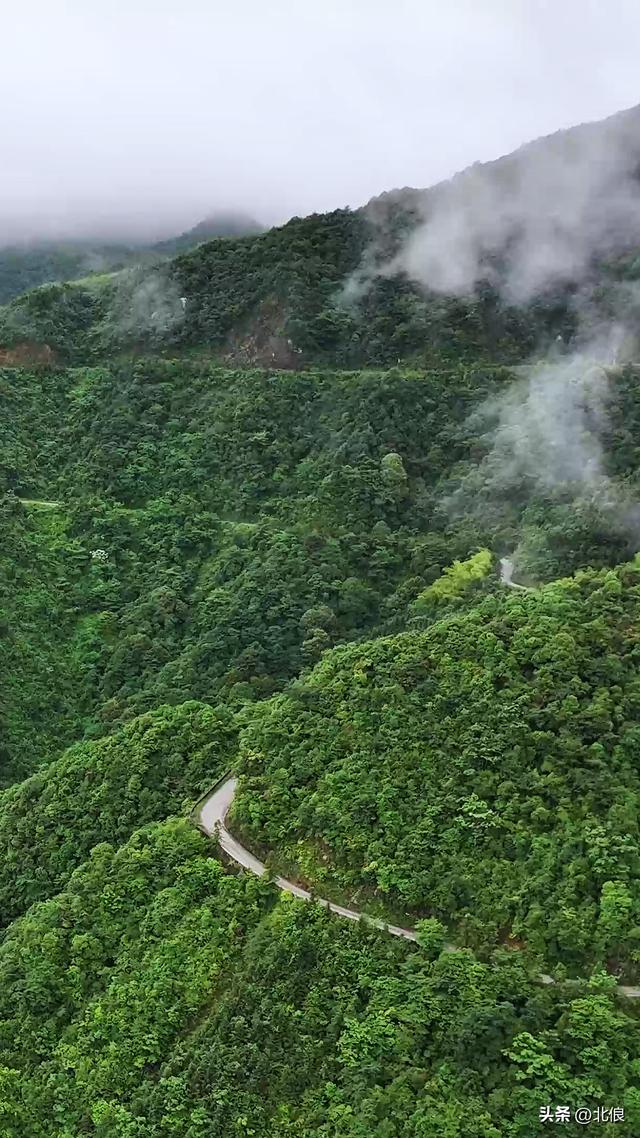 偶遇天平山上的小溪，测试结果竟然是优质山泉水