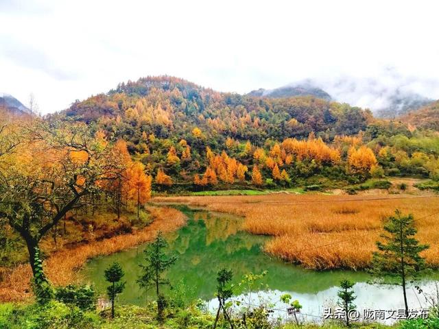 天下第一池，暗送秋波，美卷了！