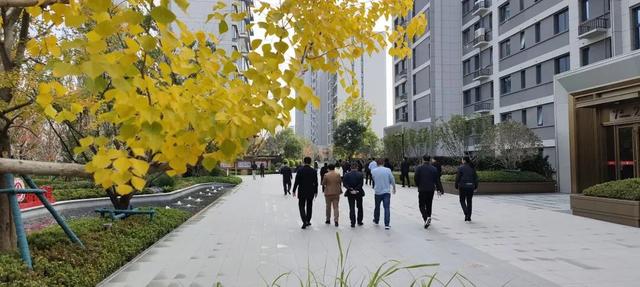 寻美薛城丨这里风景独好！美景尽收眼底，凭“颜值”出圈的社区美景！