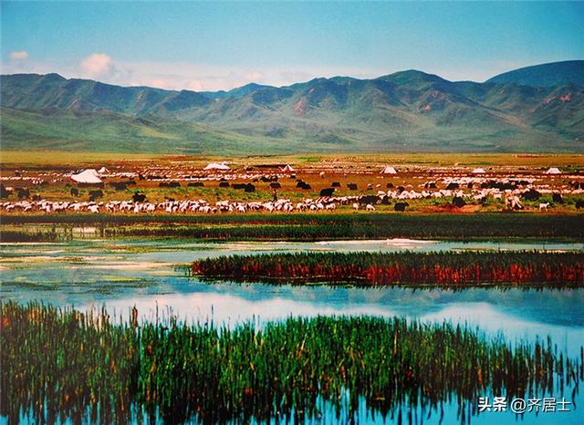 夏河拉卜楞寺—桑科草原大景区简介