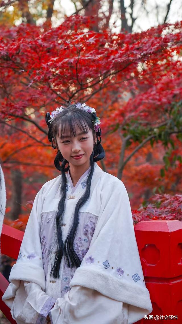 【每日一景】“枫”景这边独好 中山植物园红枫岗