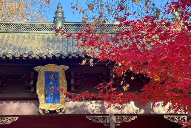 别再只去栖霞山了！江苏这座古镇，被称为“江南醉美赏秋地”