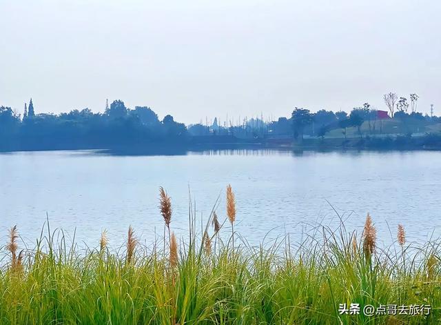 成都超级冷门公园，成都西湖，不要门票，仙境美如泸沽湖！