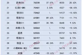 2024年度新能源汽车车型销量排行榜图片