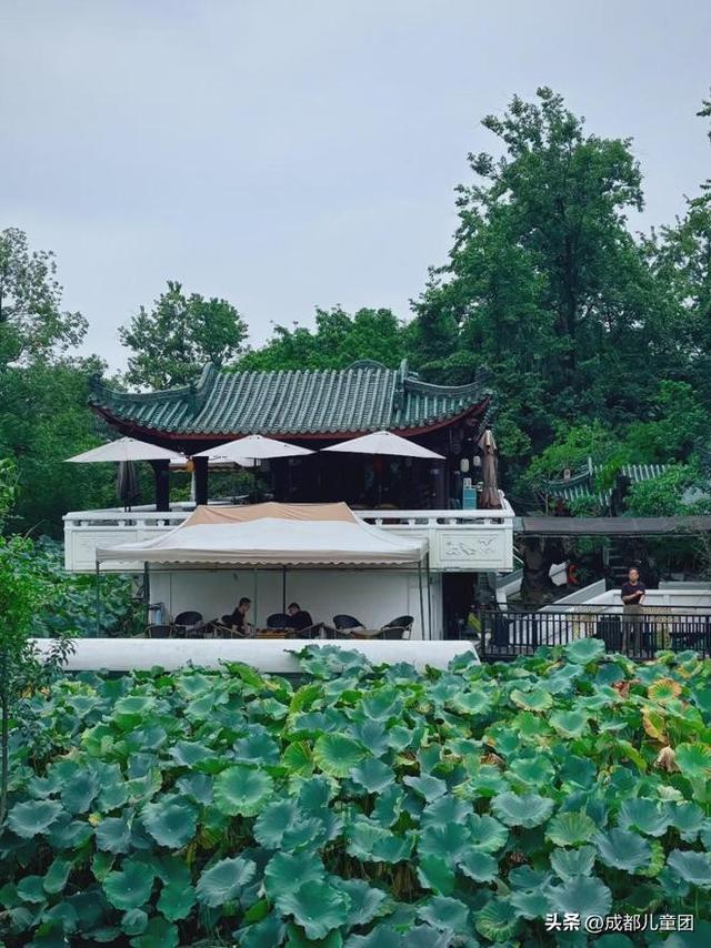 新都，被低估的好地方