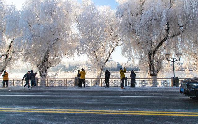 吉林市迎入冬首场雾凇 银装景致添冬日氛围