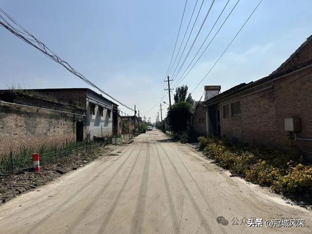 冠县乡韵·兰沃乡大柳邵村