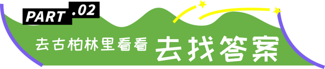 这个暑期的快乐，剑门关承包了