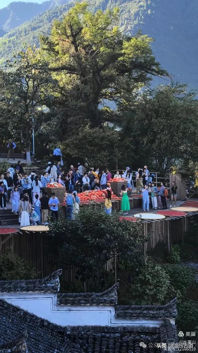 徽州篁岭，晒秋美得让人惊叹，这份“偷秋”烟火气超治愈!