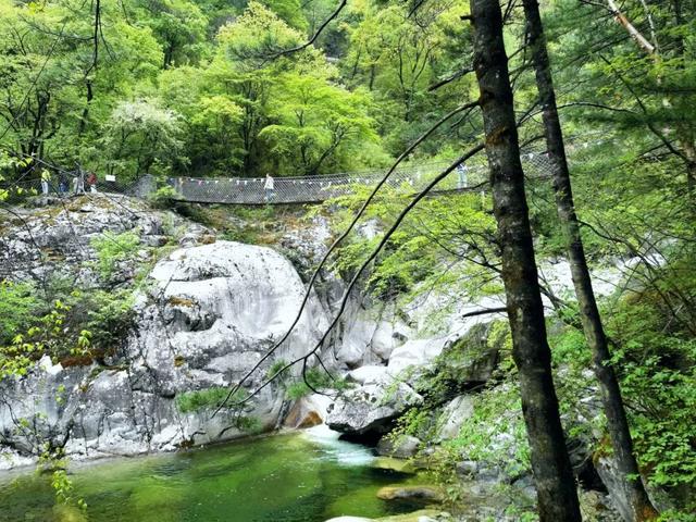 秦岭腹地“避暑天花板”！宝鸡的这座“慢城”清凉又治愈