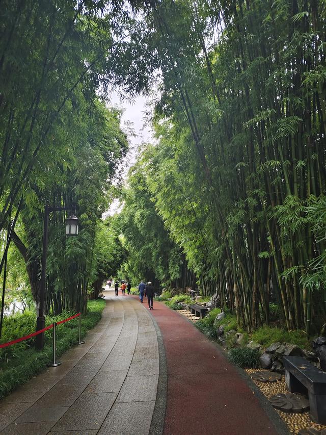 南行漫记：放慢行走的脚步，我们在南充休整