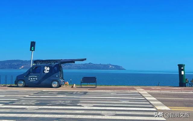 昆明人私藏观鸥地图+观杏!滴滴6折立减35元打车券直接薅