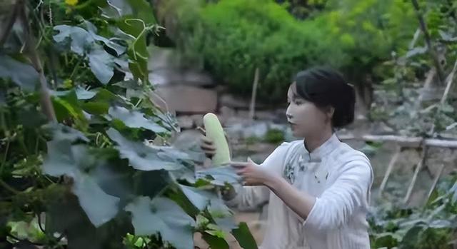 没有董宇辉的命，却得了董宇辉的“病”，顿顿终为年少轻狂买单