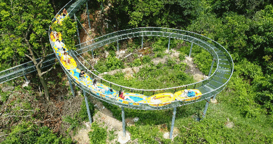 秋色晕染林间时！跟上央视脚步打卡莆田森林氧吧