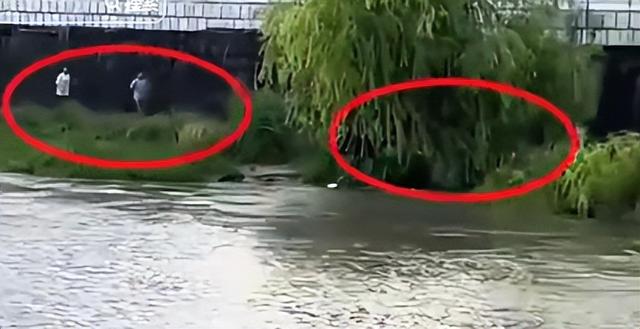 4名游客卷入钱塘江！迅速被冲散，记者曝全过程，没一个值得同情