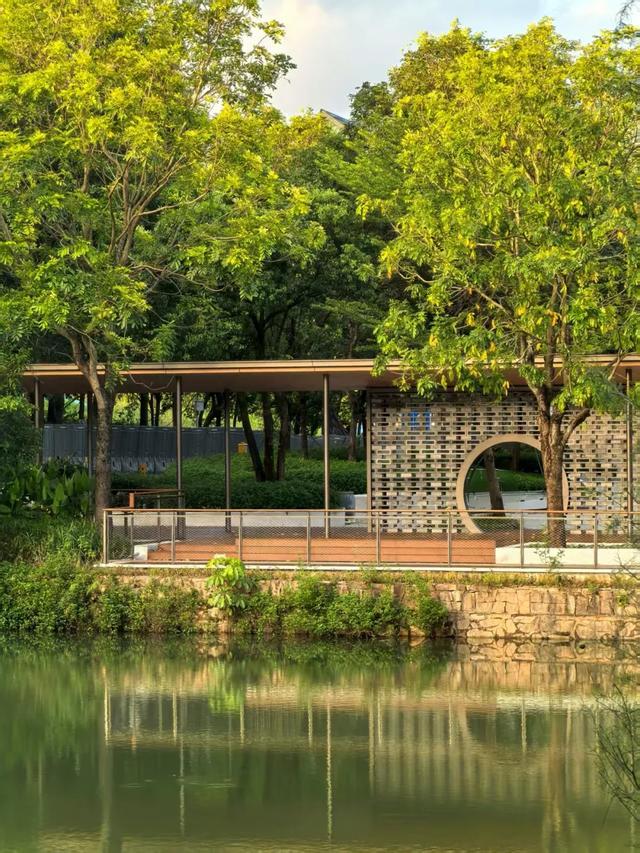 跟着全运“趣”龙岗!吃喝玩乐全攻略来啦~