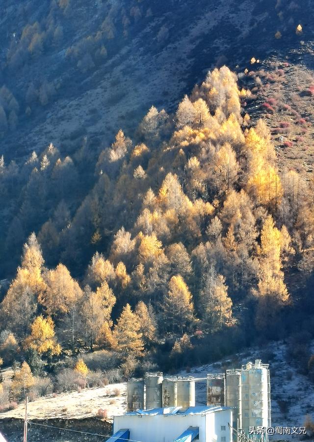 #阿坝头条#理小路，有人称之为川西的独库公路