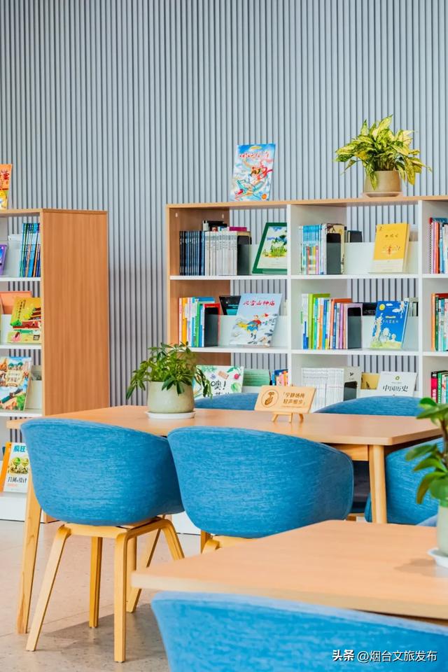 【乐游烟台】烟台这几家“不正经书店”火了!读书还能这样?