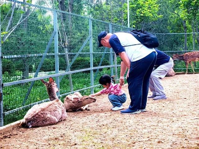 这个暑假，丰台“游”点“不一样”（自然游乐篇）