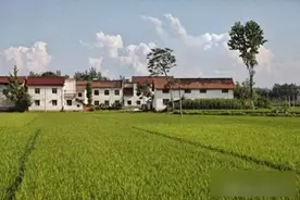 新规来了！农村自建房出租不受约束？房东们慌了，真相竟藏在这！图片