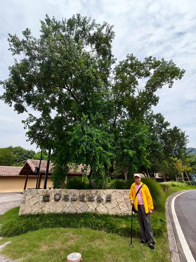 余杭安溪镇有一个瑶山遗址公园