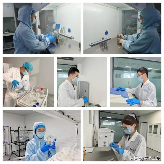 言鼎实验室团队赴安徽亳州，推动植物胚性干细胞技术落地投产