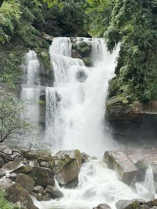 向老师们致敬！天台山教师节专属福利来啦！