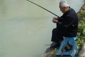 20年前河南大爷钓到一只“乌龟”，背插4箭，专家：至少值18亿图片