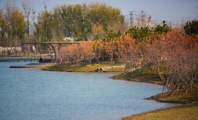 海淀“阿那亚”藏不住了！“白沙滩”成新晋热门打卡地