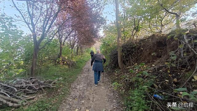 我们从塬上走过