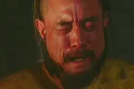 岳钟琪把年羹尧的大将军夺了后，年羹尧有没有机会夺回来图片