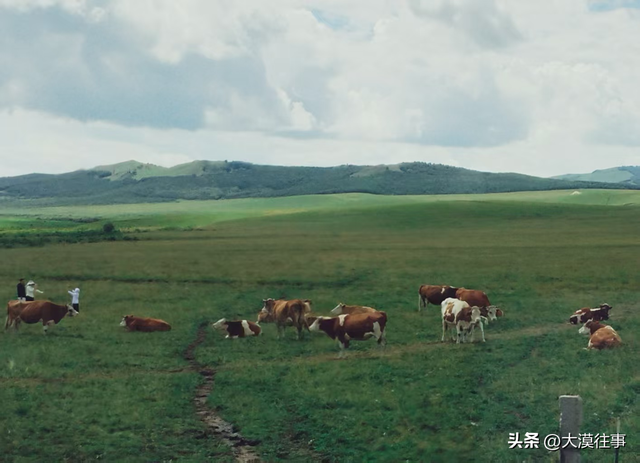 【原创】说走就走，草原行（五）