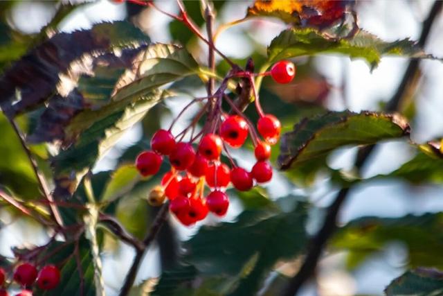 周末好去处 | 被临沂户外徒步地 美哭了！