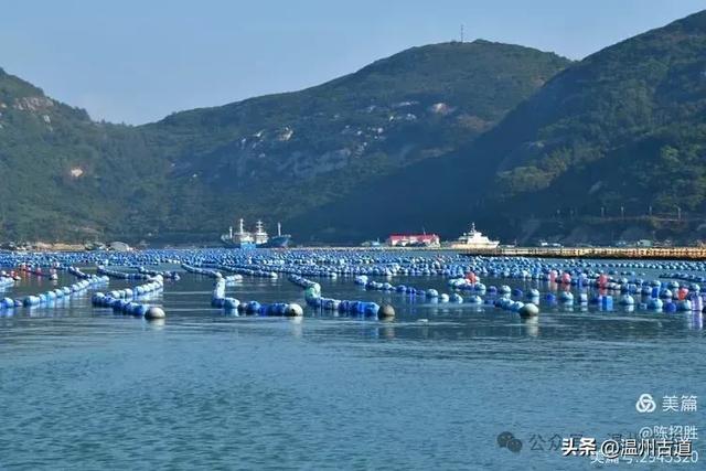 国家地理认证的中国十大最美海岛之一!温州这个绝美海岛你可去过