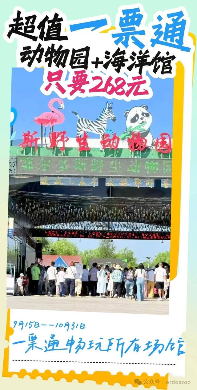 国庆遛娃，八天玩出新鲜感~