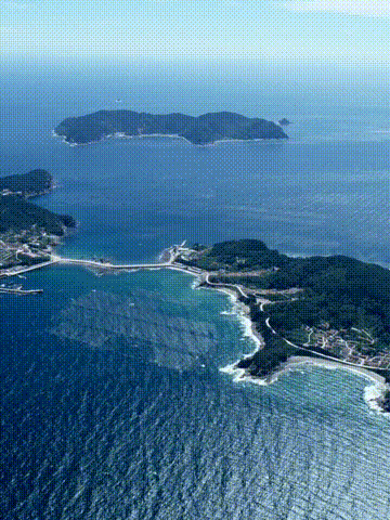 遇见一座岛，爱上一座城