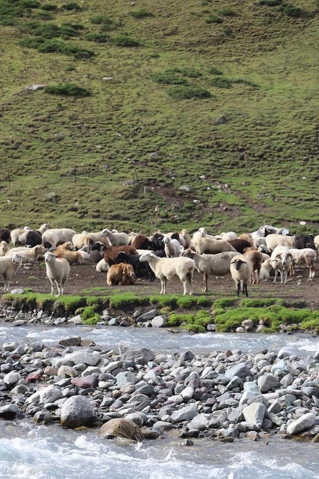 新疆独库公路之旅