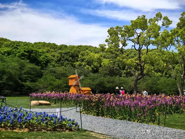 太意外了，原来从旺山风景区到上方山国家森林公园是如此的近