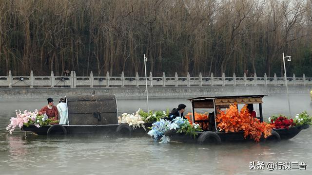 舜德花海新春嘉年华邀您共赏