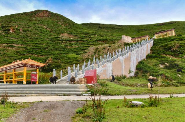 在国道G317的尽头，我终于找到了那面传说中的"骷髅墙"