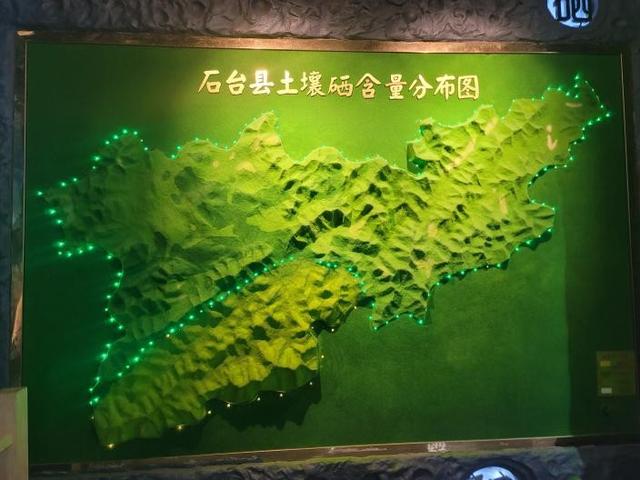 科技赋能生态守护，硒茶文化驱动创新