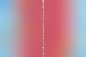 开跑！马拉松+樱花=？长图带你跑汉马图片