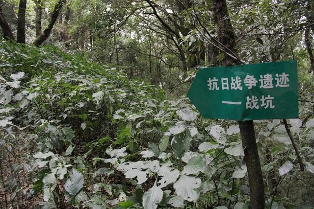 从北京自驾到云南 感受抗战之十二：徒步高黎贡