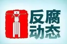蒋国雄、张红记、李树忠被查，宋淑启认罪悔罪图片