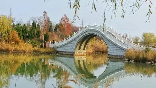 秋深景更美!运城最绚烂时刻到了!