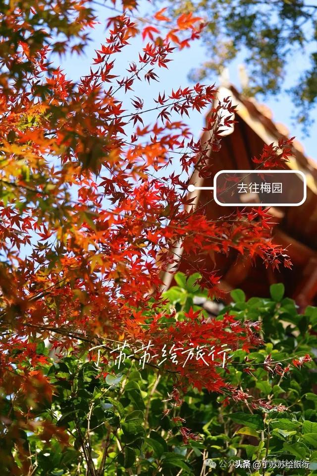 福州马拉松都下班了,爬鼓山还火到排队‼️福州鼓山登山路线攻略