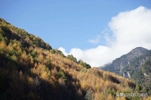 成都不远！这三个地方的红叶，美得很超过！