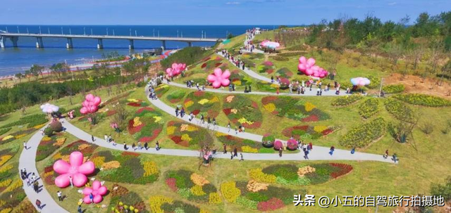 烟台炸裂攻略！2025本地人私藏的十大景点+五大美食，错过亏哭