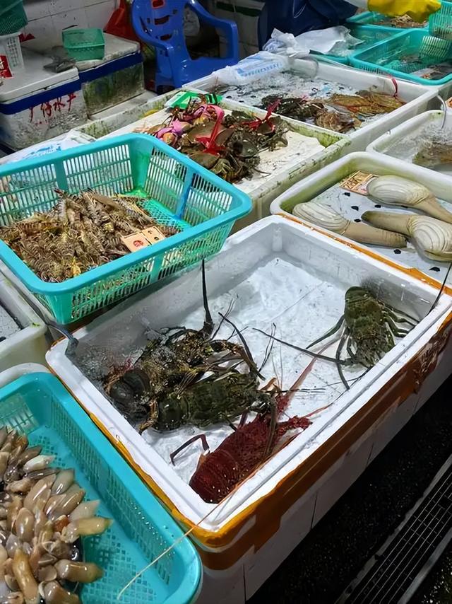 13年才能完成繁殖！面临灭绝性灾难，2019年在超市水箱保下3只